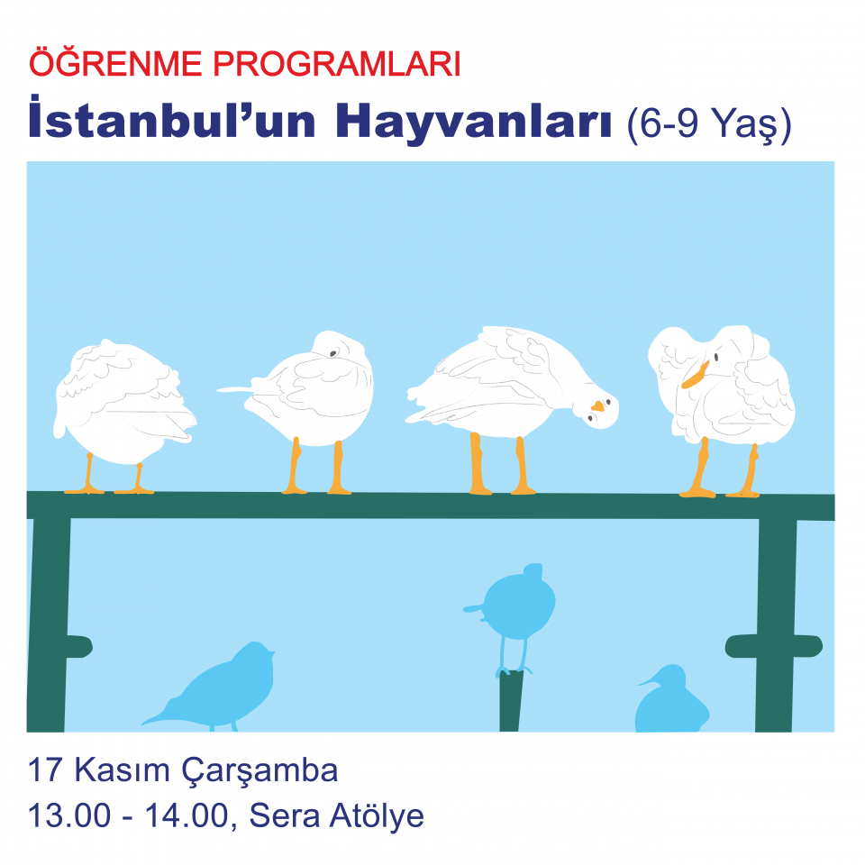 Ara Tatil 2021 - İstanbul'un Hayvanları (6-9 Yaş)