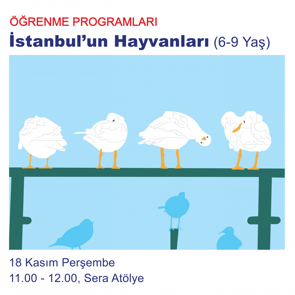 Ara Tatil 2021 - İstanbul'un Hayvanları (6-9 Yaş)