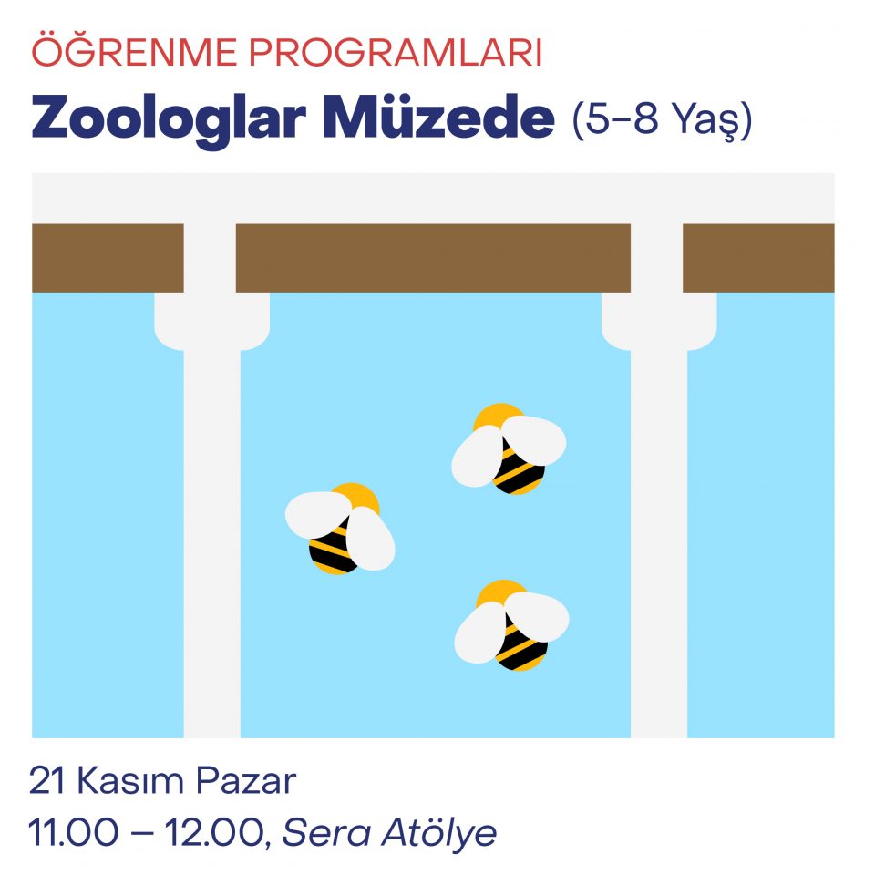 Çocuk Atölyeleri 2021 - Zoologlar Müzede (5-8 Yaş)