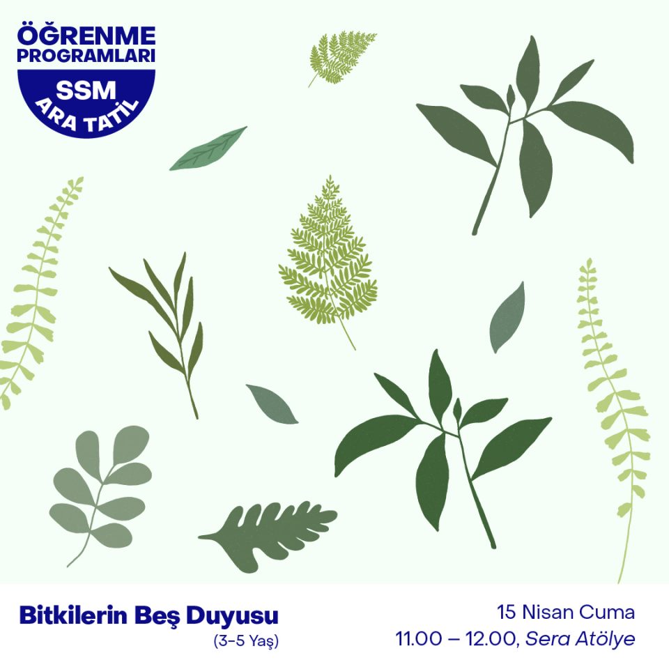 Ara Tatil 2022 - Bitkilerin Beş Duyusu (3-5 Yaş)